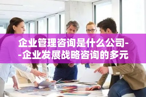 企业管理咨询是什么公司--企业发展战略咨询的多元路径
