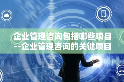 企业管理咨询包括哪些项目--企业管理咨询的关键项目与实践