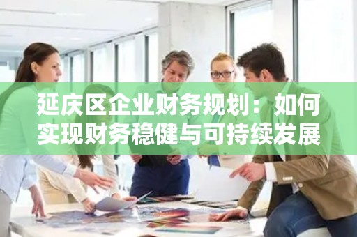 延庆区企业财务规划：如何实现财务稳健与可持续发展