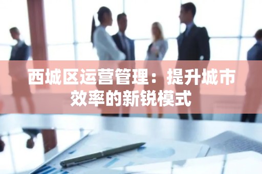 西城区运营管理：提升城市效率的新锐模式