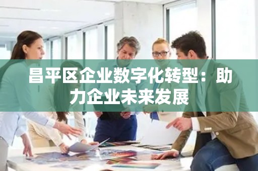 昌平区企业数字化转型：助力企业未来发展
