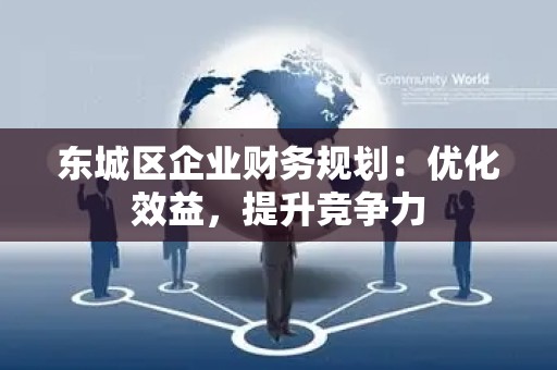 密云区企业财务规划：优化效益，提升竞争力