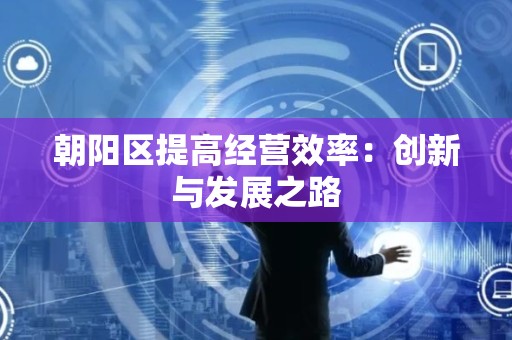 朝阳区提高经营效率：创新与发展之路