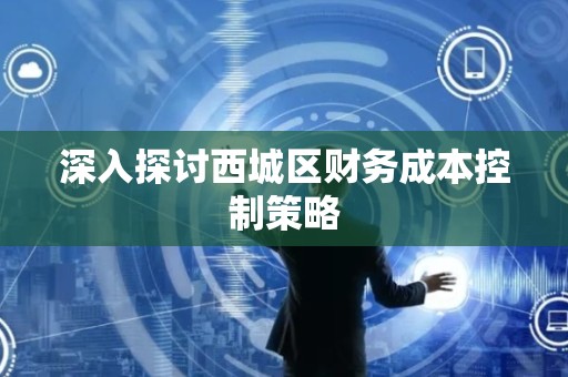 深入探讨西城区财务成本控制策略