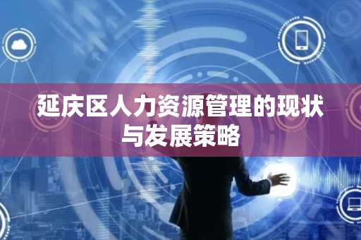 延庆区人力资源管理的现状与发展策略