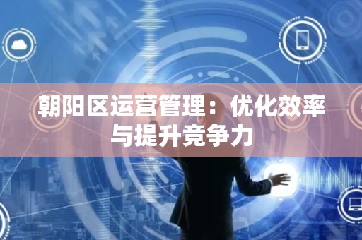 朝阳区运营管理：优化效率与提升竞争力