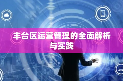 丰台区运营管理的全面解析与实践