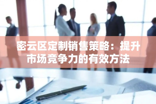 密云区定制销售策略：提升市场竞争力的有效方法