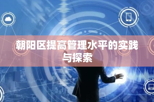 朝阳区提高管理水平的实践与探索