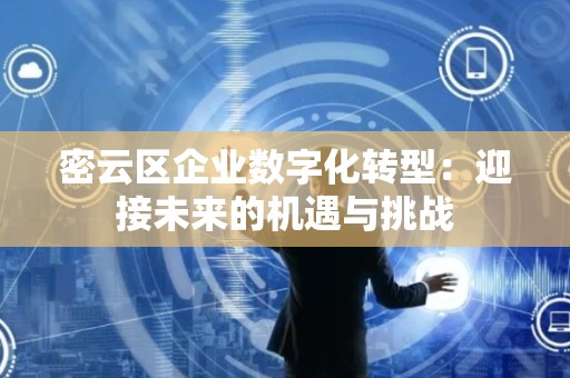 密云区企业数字化转型：迎接未来的机遇与挑战