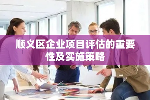 顺义区企业项目评估的重要性及实施策略