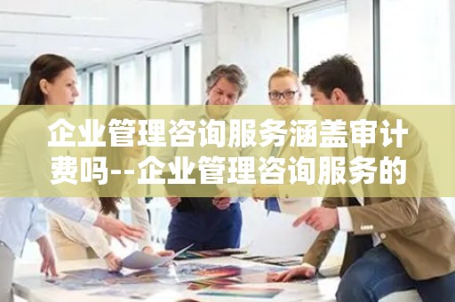 企业管理咨询服务涵盖审计费吗--企业管理咨询服务的全方位解析