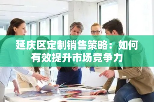 延庆区定制销售策略：如何有效提升市场竞争力