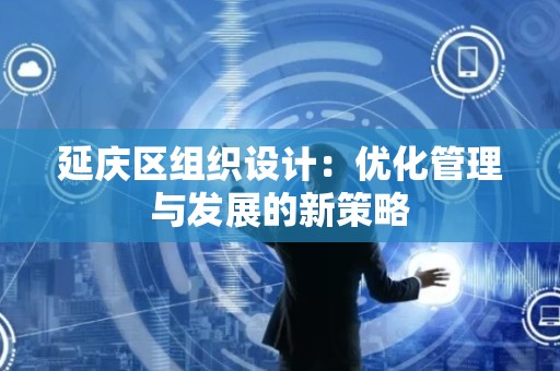 延庆区组织设计：优化管理与发展的新策略
