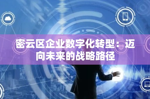 密云区企业数字化转型：迈向未来的战略路径