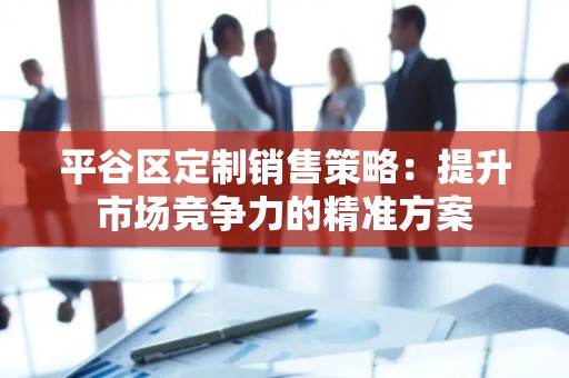 平谷区定制销售策略：提升市场竞争力的精准方案
