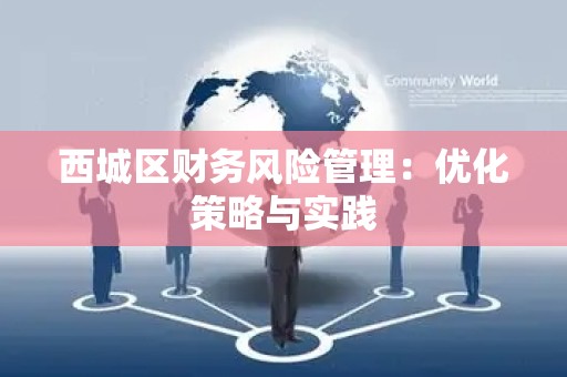 西城区财务风险管理：优化策略与实践