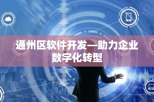通州区软件开发—助力企业数字化转型