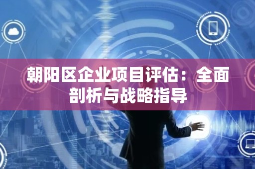 朝阳区企业项目评估：全面剖析与战略指导