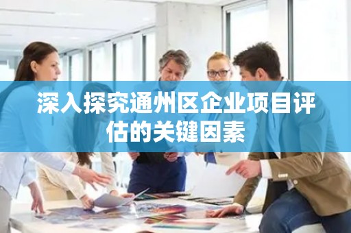深入探究通州区企业项目评估的关键因素