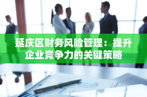 延庆区财务风险管理：提升企业竞争力的关键策略