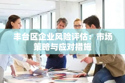 丰台区企业风险评估：市场策略与应对措施