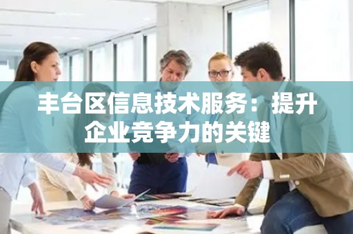 丰台区信息技术服务：提升企业竞争力的关键