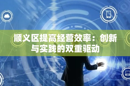 顺义区提高经营效率：创新与实践的双重驱动