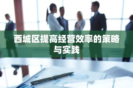 西城区提高经营效率的策略与实践