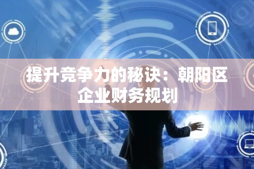 提升竞争力的秘诀：朝阳区企业财务规划