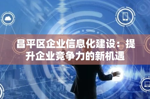昌平区企业信息化建设：提升企业竞争力的新机遇