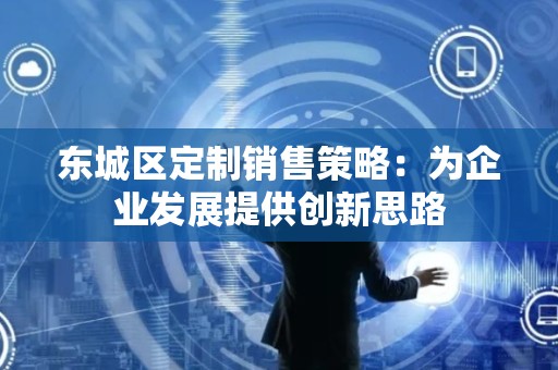 密云区定制销售策略：为企业发展提供创新思路
