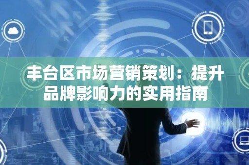 丰台区市场营销策划：提升品牌影响力的实用指南