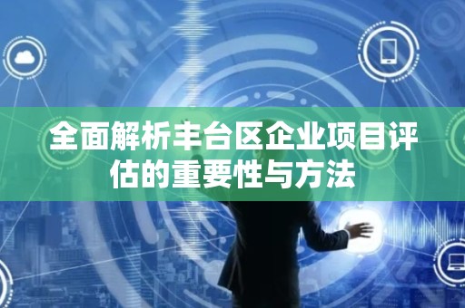 全面解析丰台区企业项目评估的重要性与方法