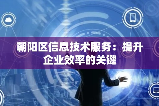 朝阳区信息技术服务：提升企业效率的关键