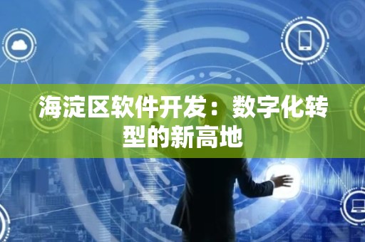 海淀区软件开发：数字化转型的新高地