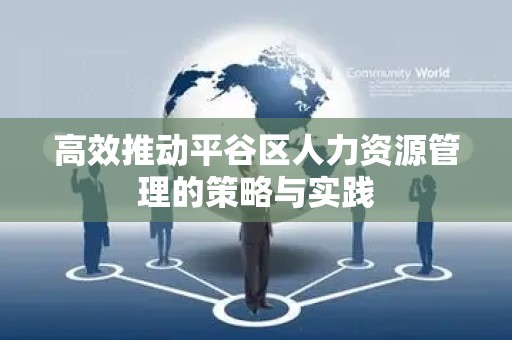 高效推动平谷区人力资源管理的策略与实践
