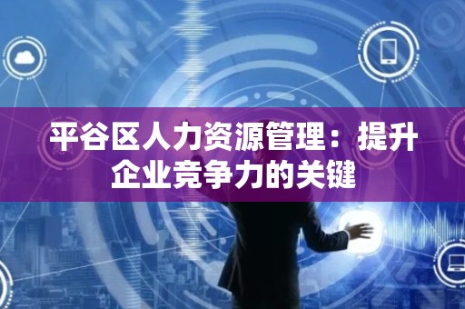平谷区人力资源管理：提升企业竞争力的关键
