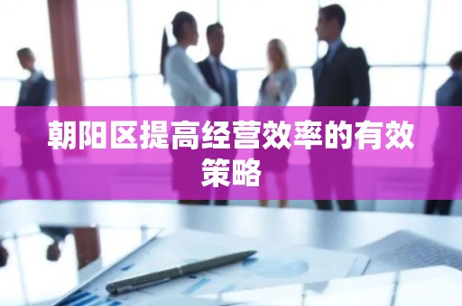 朝阳区提高经营效率的有效策略