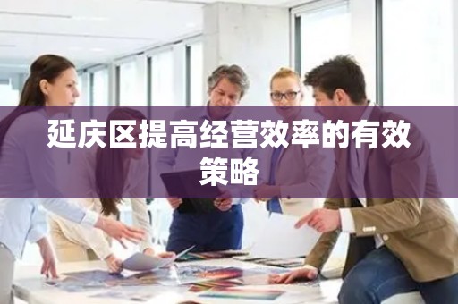 延庆区提高经营效率的有效策略