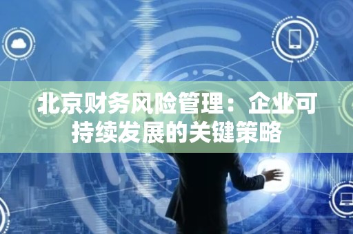 北京财务风险管理：企业可持续发展的关键策略