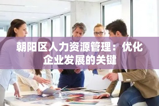 朝阳区人力资源管理：优化企业发展的关键