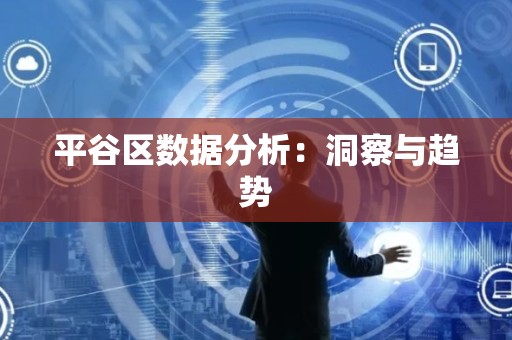 平谷区数据分析：洞察与趋势
