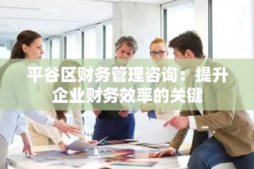 平谷区财务管理咨询：提升企业财务效率的关键