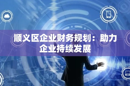 顺义区企业财务规划：助力企业持续发展