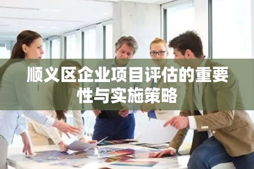顺义区企业项目评估的重要性与实施策略