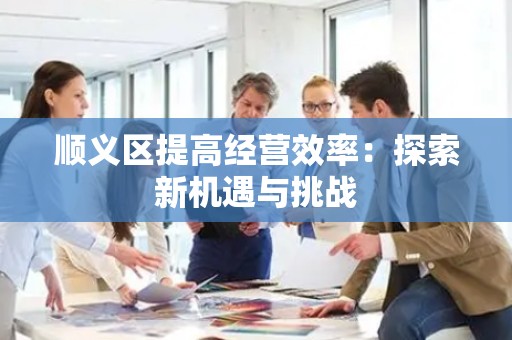 顺义区提高经营效率：探索新机遇与挑战