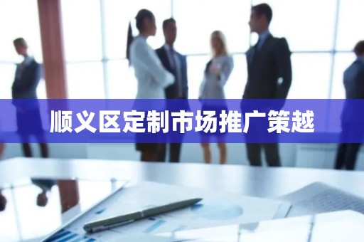 顺义区定制市场推广策越